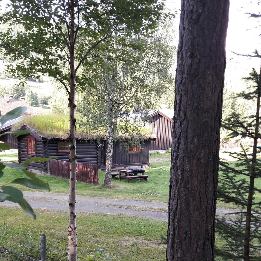 Weistad Heidal Eksteriør bilde